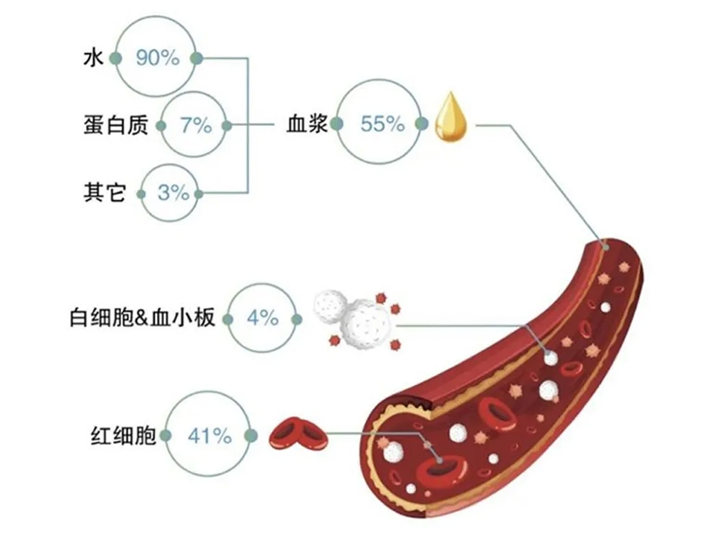 微信截圖_20240923103838.png